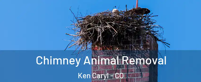  Chimney Animal Removal Ken Caryl - CO