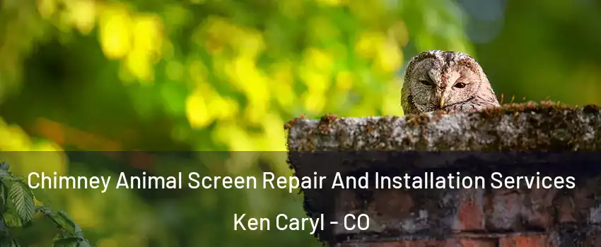  Chimney Animal Screen Repair And Installation Services Ken Caryl - CO