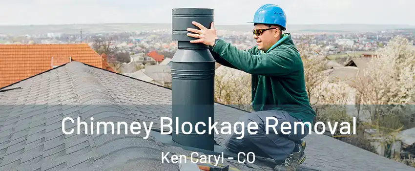  Chimney Blockage Removal Ken Caryl - CO