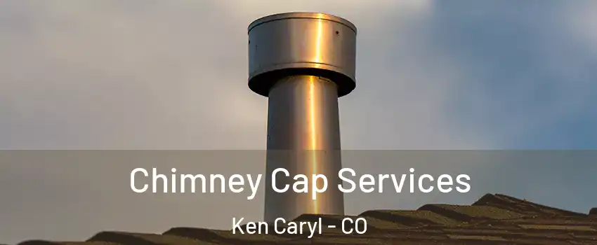  Chimney Cap Services Ken Caryl - CO