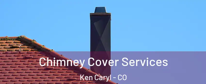  Chimney Cover Services Ken Caryl - CO