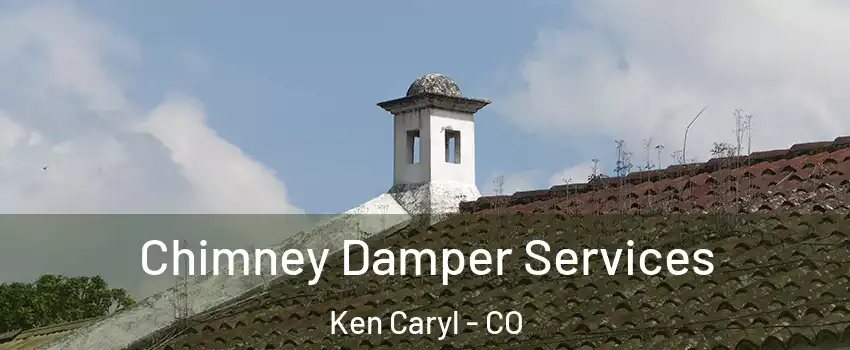  Chimney Damper Services Ken Caryl - CO