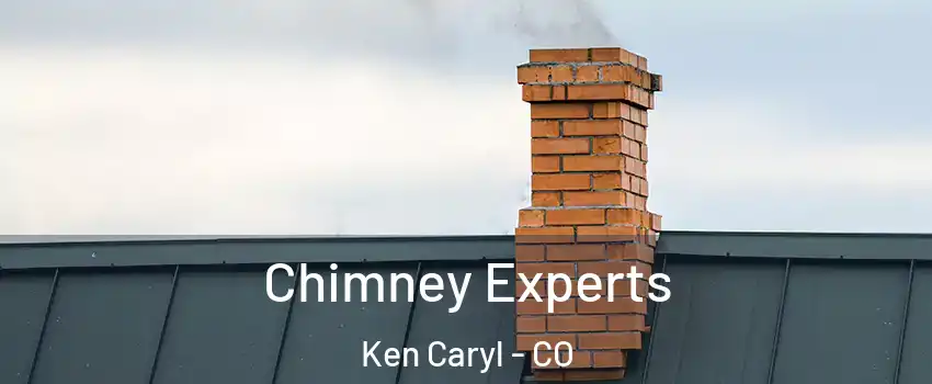  Chimney Experts Ken Caryl - CO