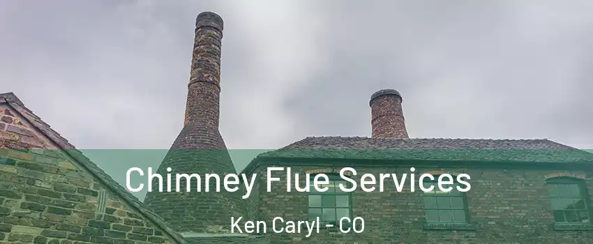  Chimney Flue Services Ken Caryl - CO