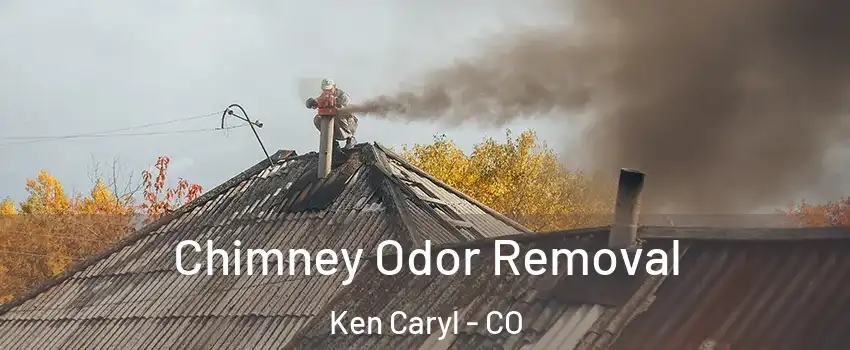  Chimney Odor Removal Ken Caryl - CO