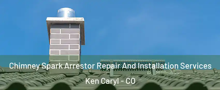  Chimney Spark Arrestor Repair And Installation Services Ken Caryl - CO