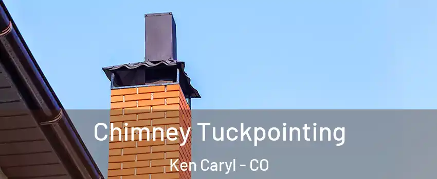  Chimney Tuckpointing Ken Caryl - CO