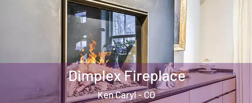  Dimplex Fireplace Ken Caryl - CO