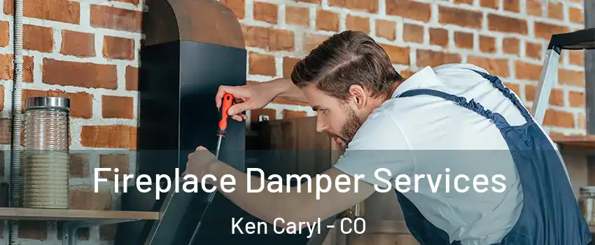 Fireplace Damper Services Ken Caryl - CO