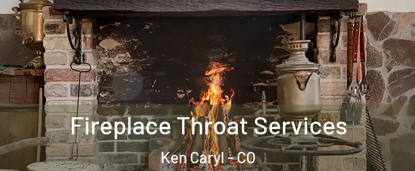  Fireplace Throat Services Ken Caryl - CO