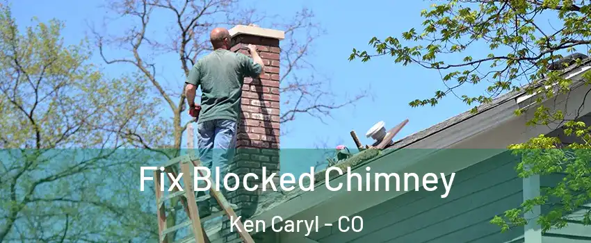  Fix Blocked Chimney Ken Caryl - CO