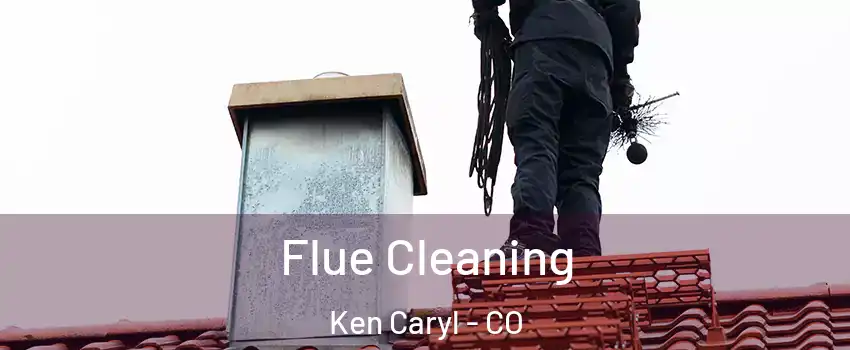  Flue Cleaning Ken Caryl - CO