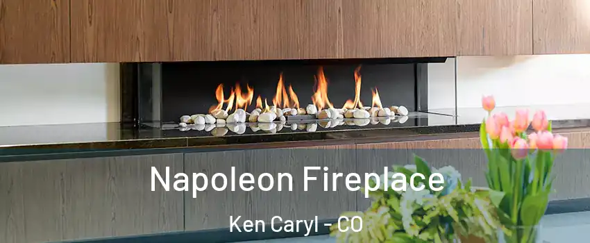  Napoleon Fireplace Ken Caryl - CO