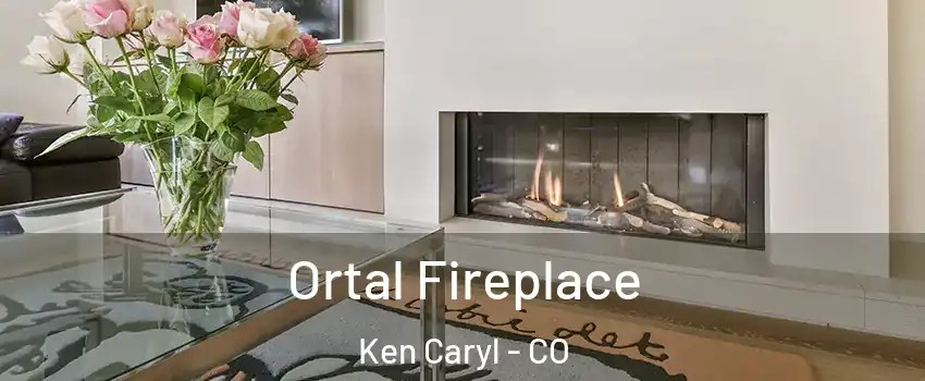  Ortal Fireplace Ken Caryl - CO
